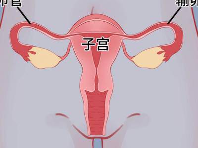 卵泡監測怎么做?具體優點有哪些