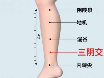 三陰交穴位在哪里 刺激三陰交穴位有哪些好處