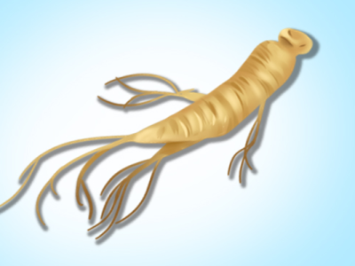 人參的功效作用 人參不能和什么一起吃