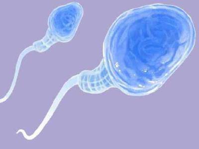 精子多長時間與卵子結合，受精卵形成要多久