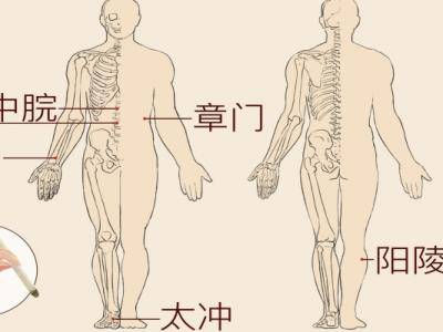 脾虛艾灸哪里效果最好 艾灸時(shí)要注意哪些問題