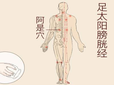 人身上有多少個穴位 人體身上有多少條經絡