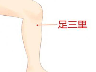 足三里穴位在哪里 足三里穴作用和功效是什么