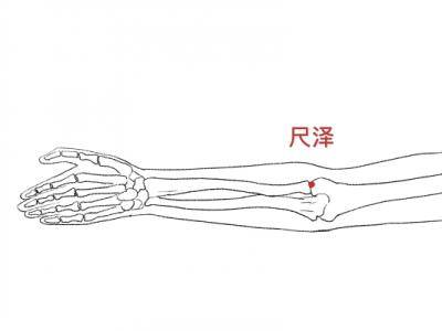 按摩尺澤穴的好處 如何找尺澤穴的準確位置