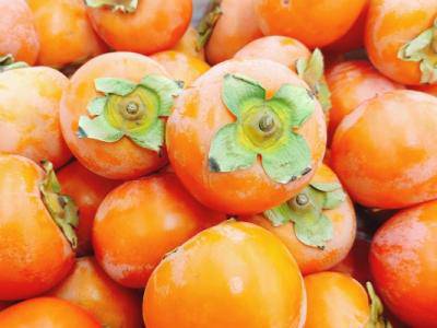 柿子和蝦能一起吃嗎 柿子和蝦的禁忌人群