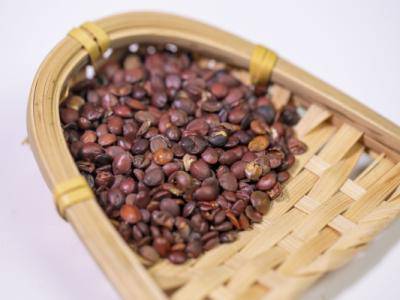 酸棗仁的功效與作用 使用酸棗仁的注意事項