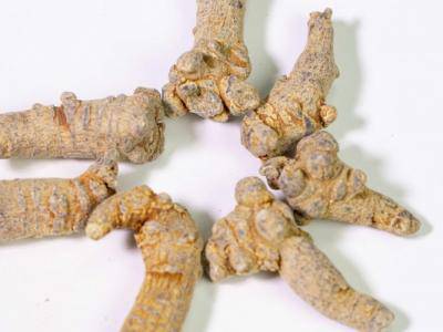 喝三七粉會(huì)上火嗎 三七粉的功效作用