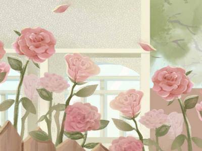 玫瑰花和康乃馨泡水喝都有什么功效？