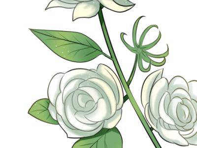 喝茉莉花茶有什么好處？如何沖泡