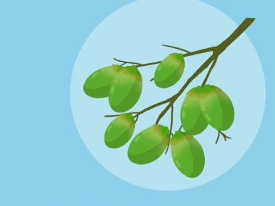 嚼檳榔的危害有哪些？你都知曉嗎