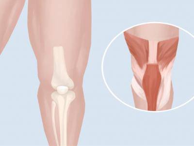 膝蓋下面是什么穴位 治療膝蓋疼的穴位有什么