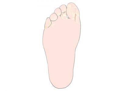 腳上有多少個穴位 腳上的各個部位