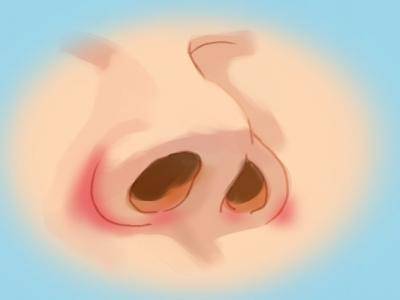 鼻子兩側是什么穴位 鼻子兩側的部位叫什么