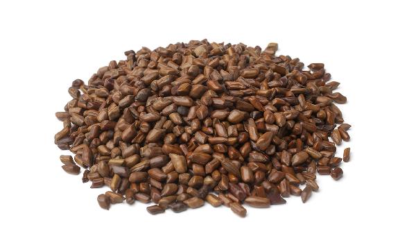 決明子枕頭對睡眠好嗎