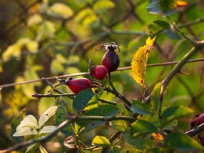 睡眠長(zhǎng)期不好怎樣調(diào)理